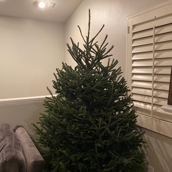 Meet your Posher, Cassandra - Picture 1 of 1